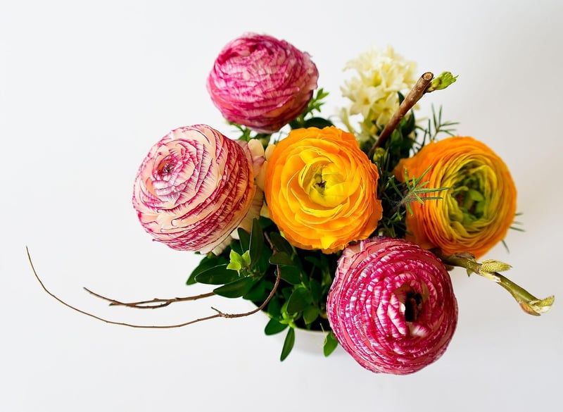 Aesthetic Arrangements