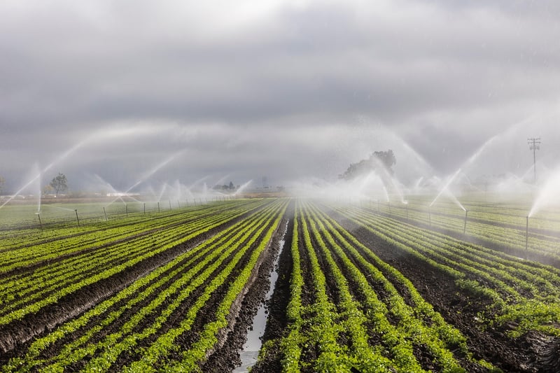 Drip Irrigation System