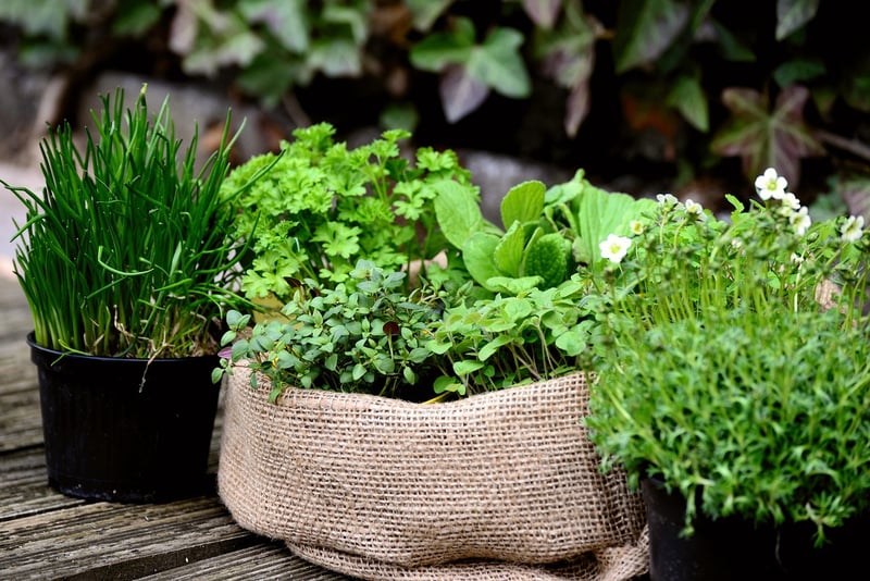Herb Garden Tower
